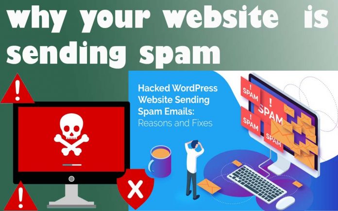 website-sending-spam-email-akdoogle website-sending-spam-email.