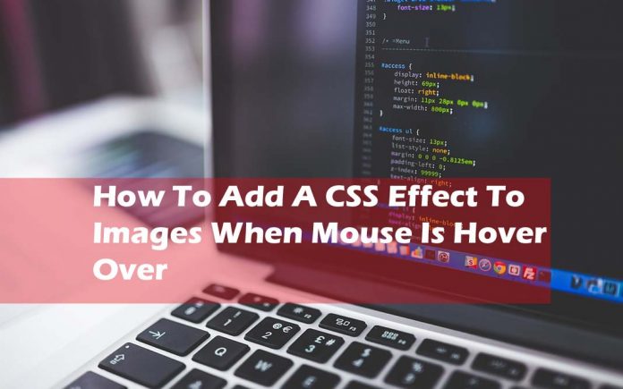 How To Add A CSS Effect To Images